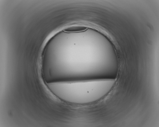 X0000115491522200911060951