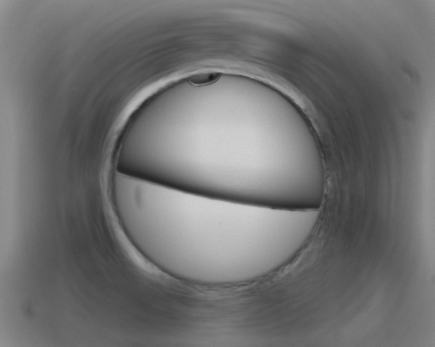 X0000115491523200911060951