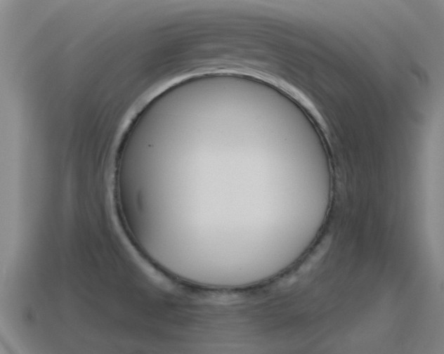 X0000115491525200911060951