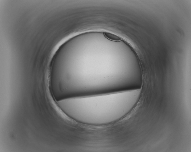 X0000115491526200911060951