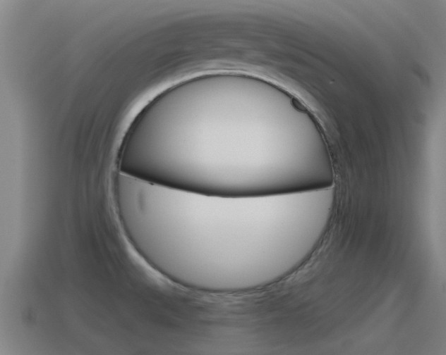 X0000115491527200911060951
