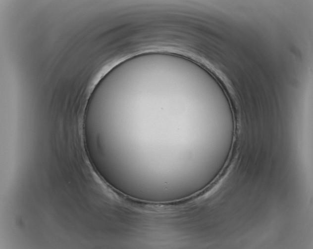 X0000115491529200911060951
