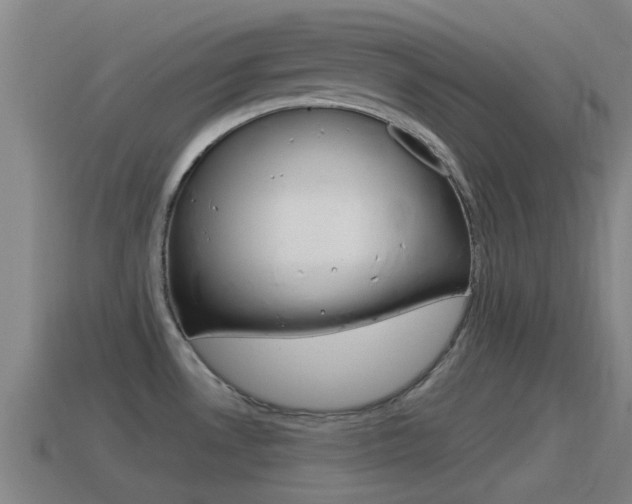 X0000115491530200911060951