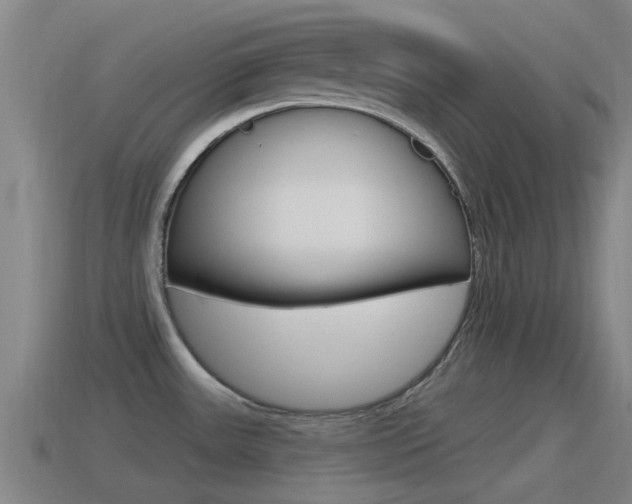 X0000115491531200911060951