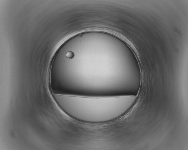 X0000115491533200911060951