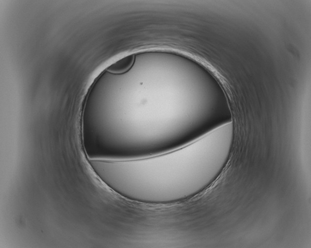X0000115491534200911060951