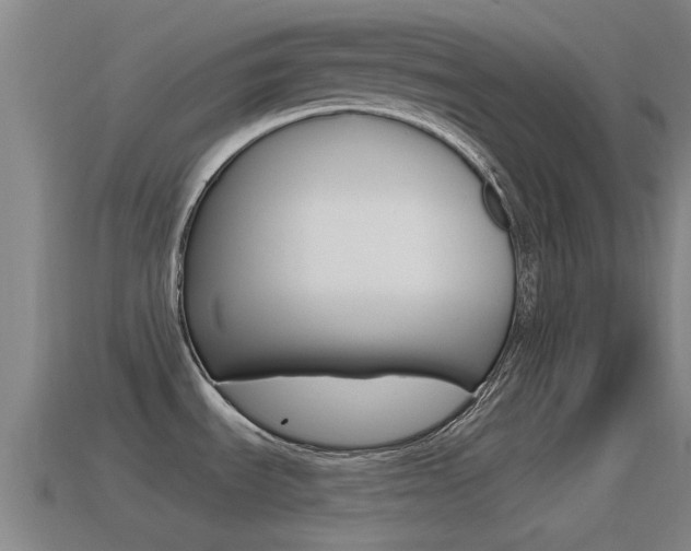X0000115491535200911060951