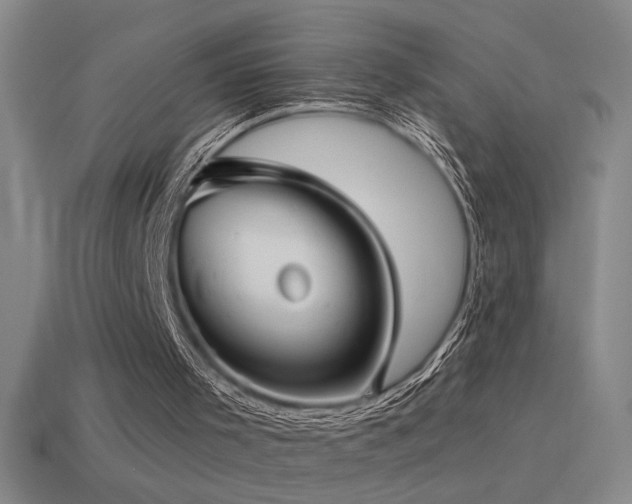 X0000115490001200911061316