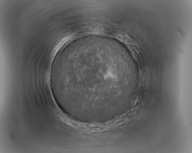 X0000115490003200911061316