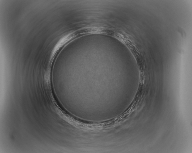 X0000115490004200911061316