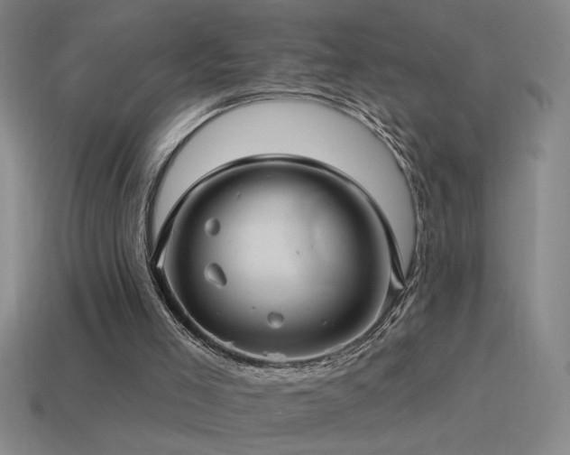 X0000115490005200911061316