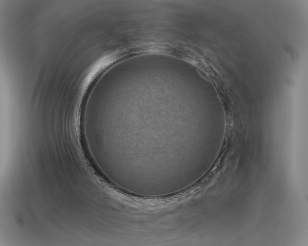 X0000115490006200911061316