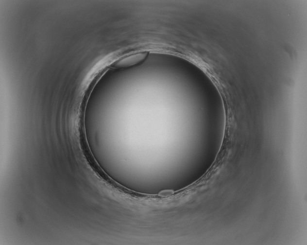 X0000115490007200911061316