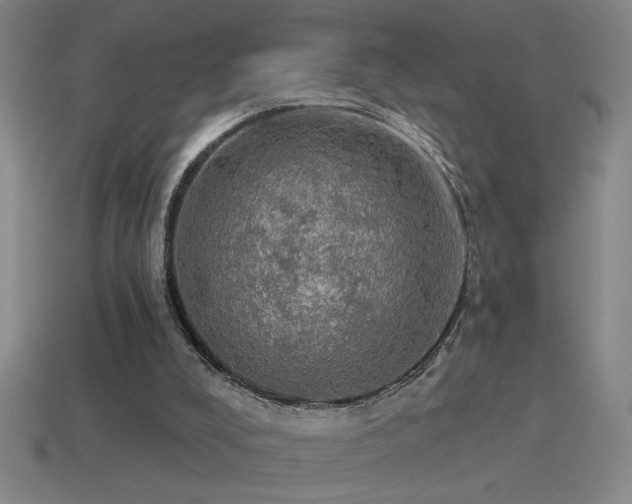 X0000115490008200911061316