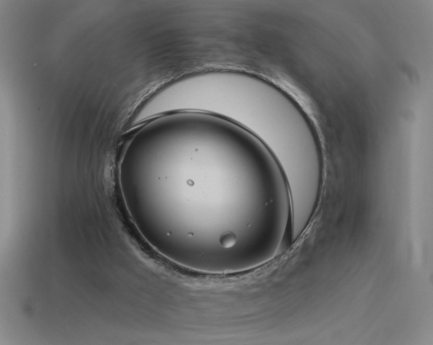 X0000115490009200911061316