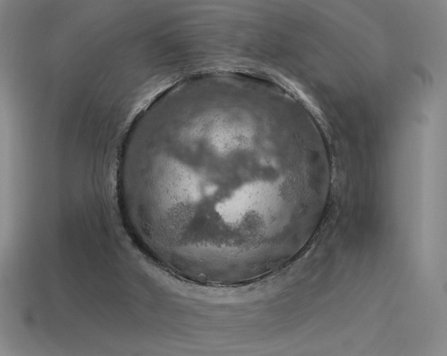 X0000115490010200911061316