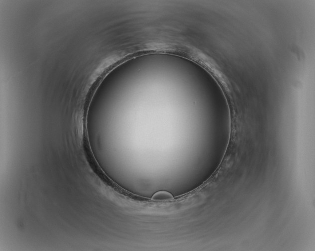 X0000115490011200911061316