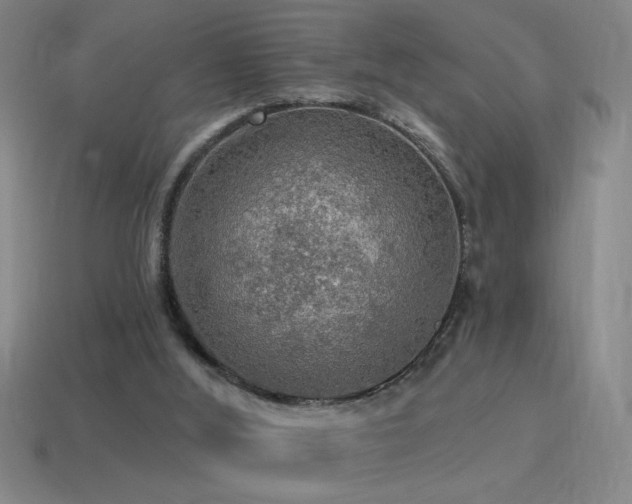 X0000115490012200911061316