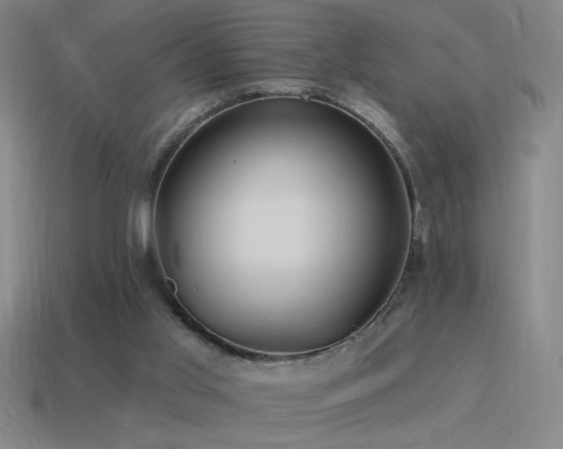 X0000115490013200911061316