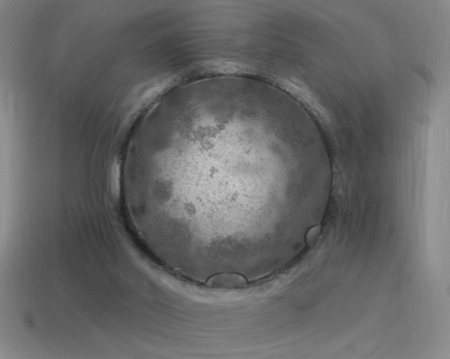 X0000115490014200911061316