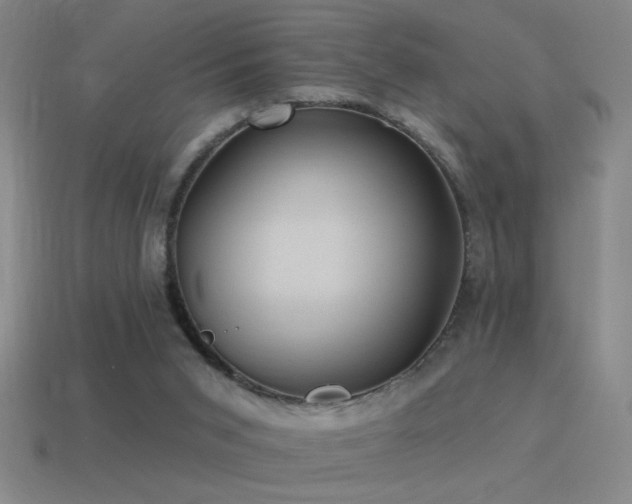 X0000115490015200911061316