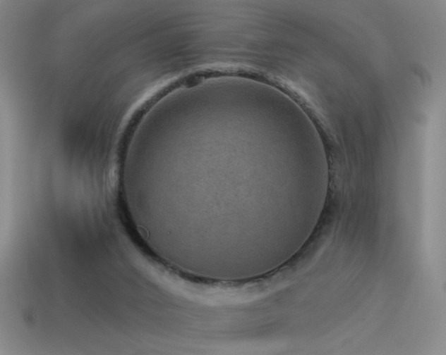 X0000115490016200911061316