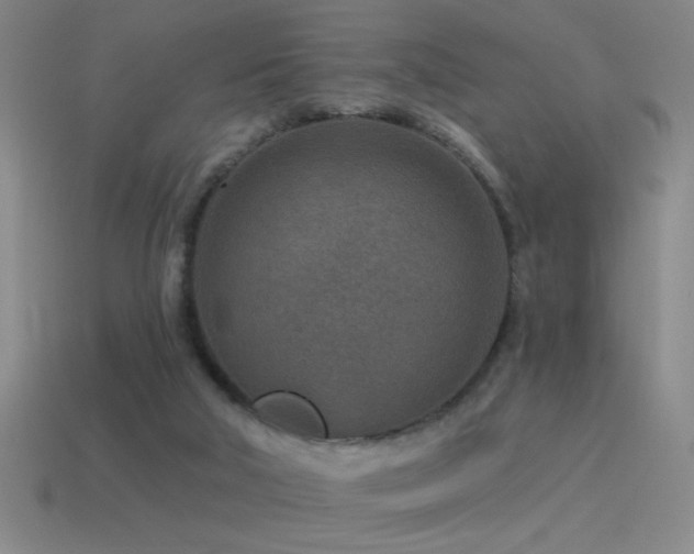 X0000115490018200911061316