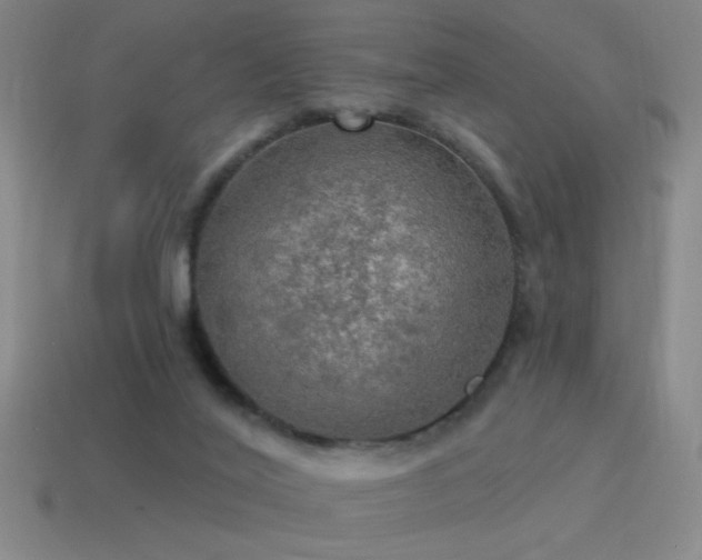 X0000115490020200911061316