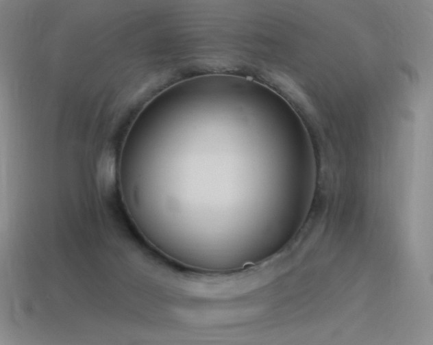 X0000115490021200911061316