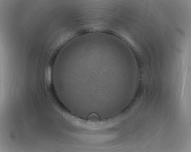 X0000115490022200911061316
