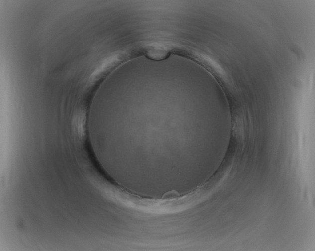 X0000115490023200911061316
