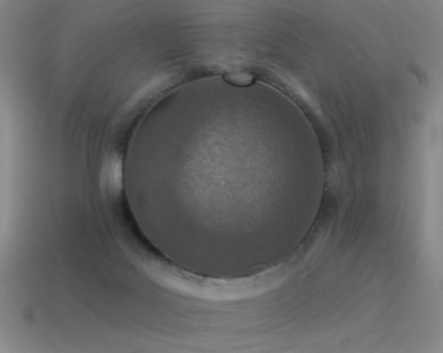 X0000115490027200911061316
