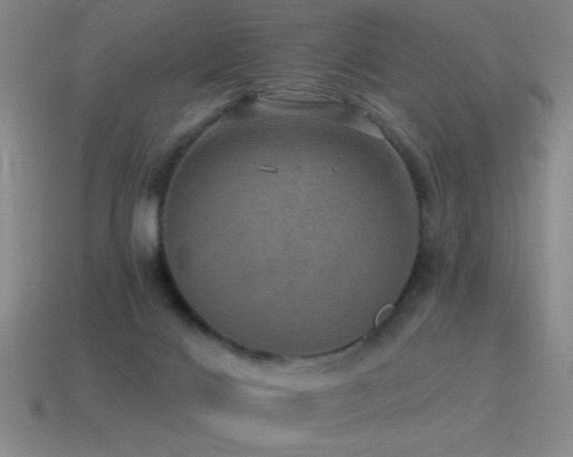 X0000115490028200911061316