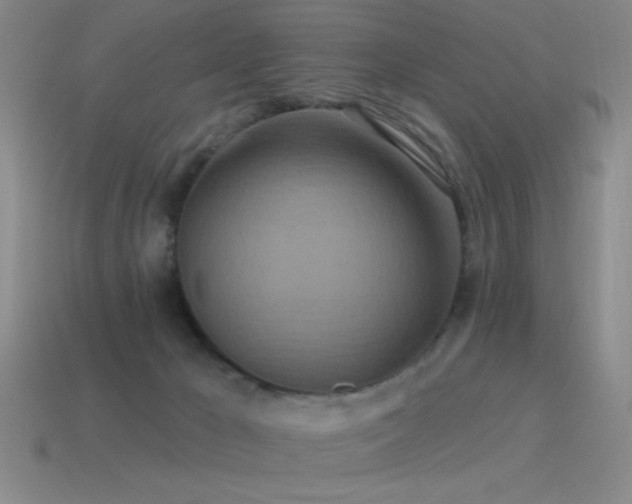 X0000115490029200911061316