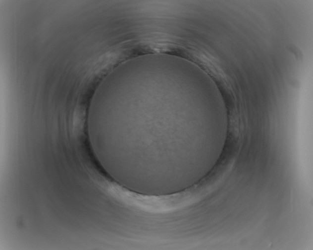 X0000115490030200911061316