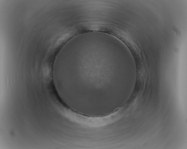 X0000115490031200911061316