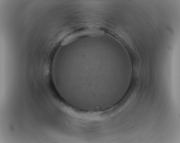 X0000115490032200911061316
