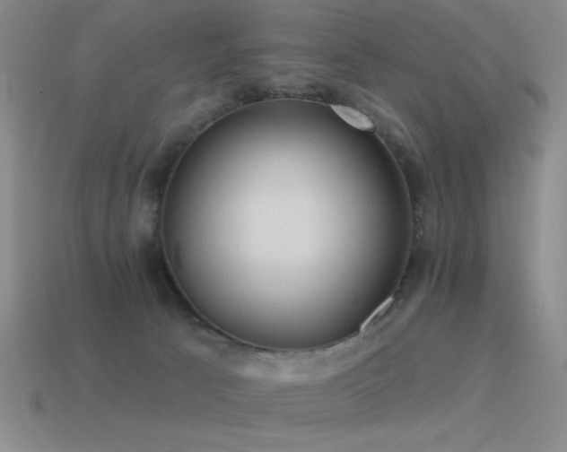 X0000115490033200911061316