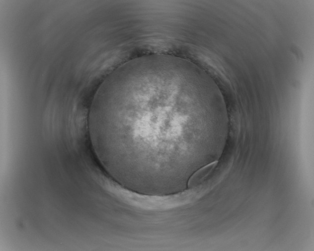 X0000115490034200911061316