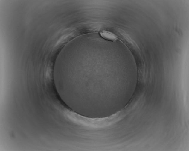 X0000115490035200911061316