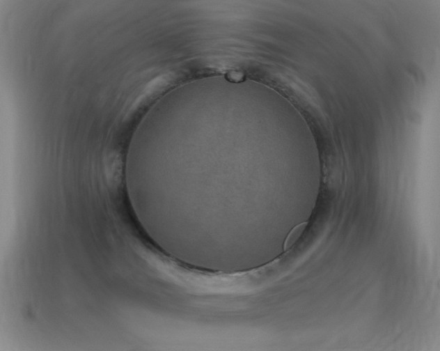 X0000115490036200911061316