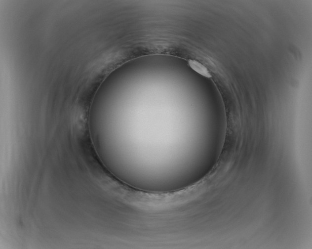 X0000115490037200911061316