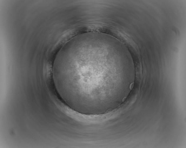 X0000115490038200911061316