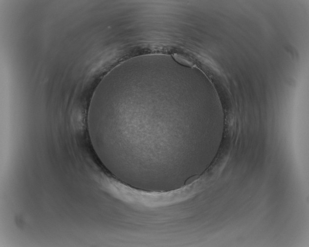X0000115490039200911061316