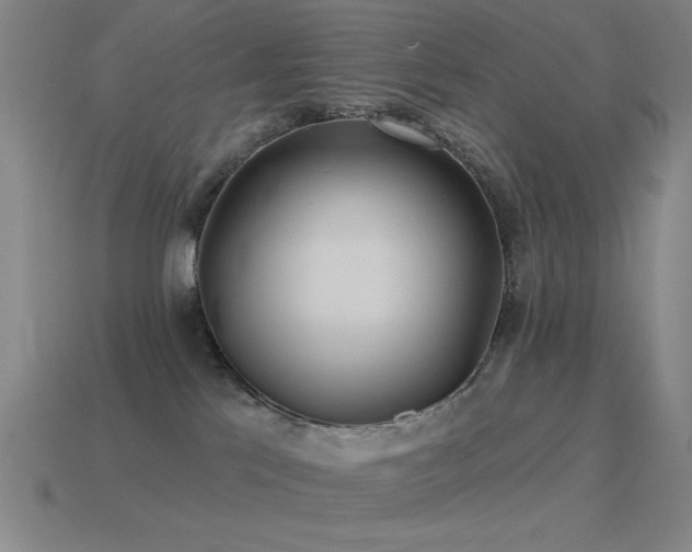 X0000115490041200911061316