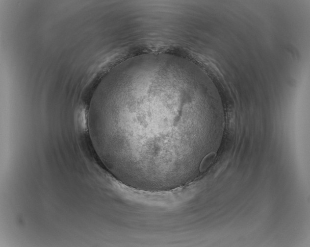 X0000115490042200911061316