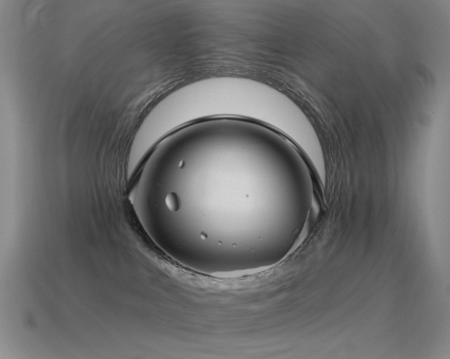 X0000115490043200911061316