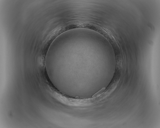 X0000115490044200911061316