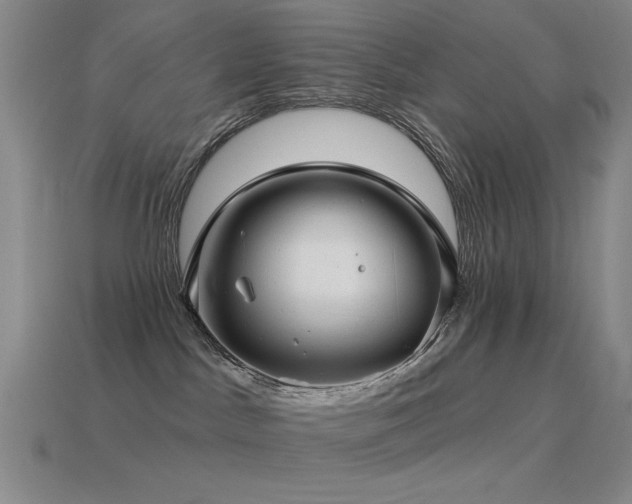 X0000115490045200911061316