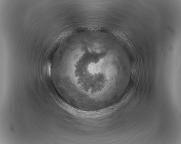 X0000115490046200911061316